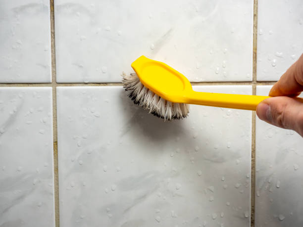 Best White Mold Remediation in Manor, PA