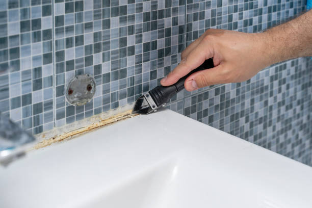 Best Insurance-Related Mold Remediation in Manor, PA